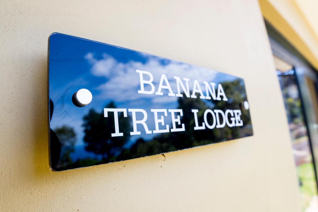 Banana Tree Lodge Jamestown Exterior foto